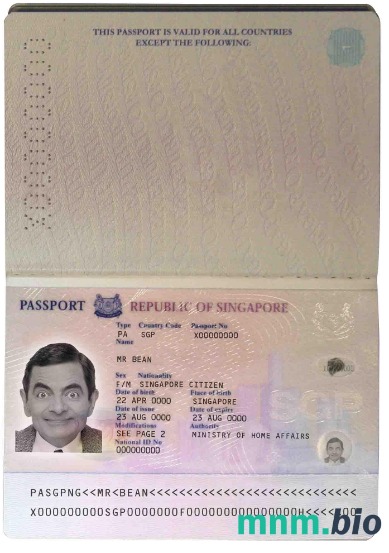 Singapore pass (2006-2017) przykład w formacie PSD